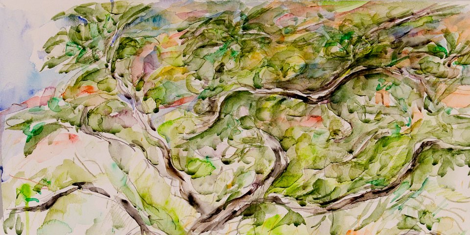 Aquarelle painting by Nadezhda Kouteva