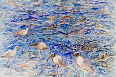birds